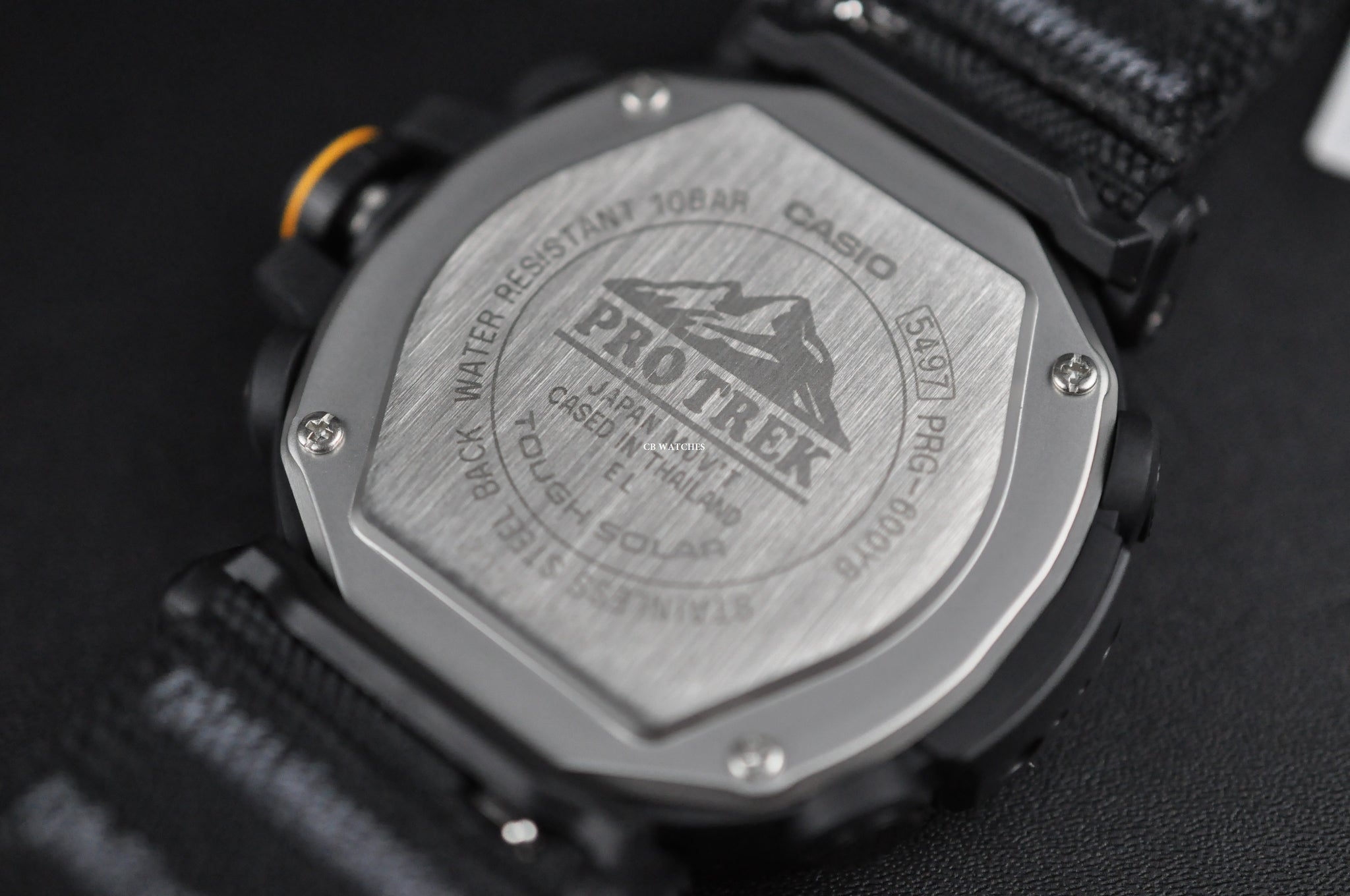 CASIO PROTREK PRG 600YB 1 CAVE Safari Series Solar Men s Watch World T CB WATCHES